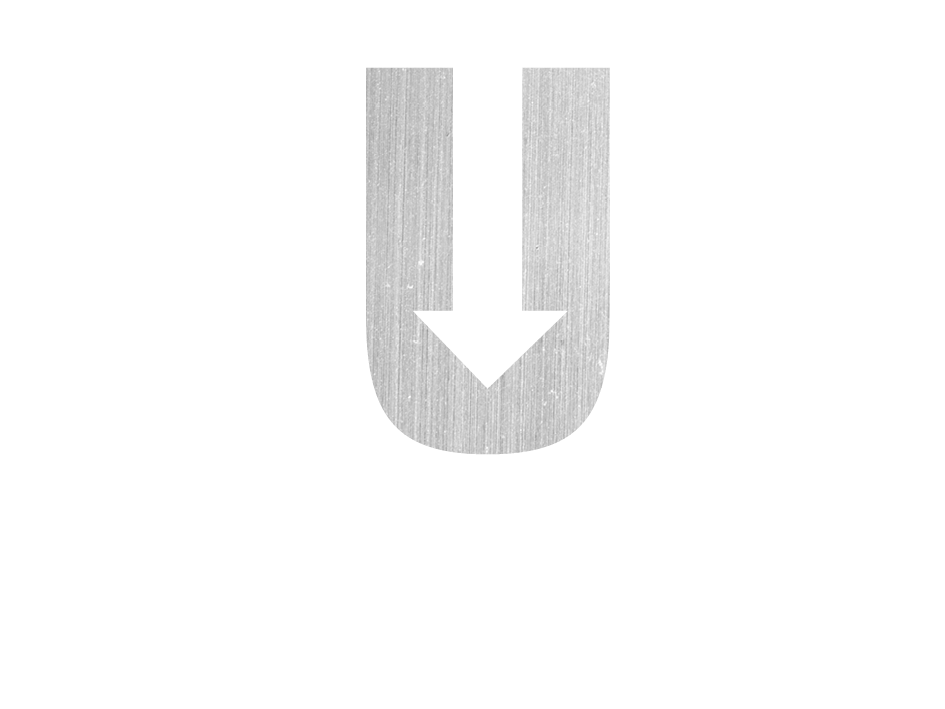 Logo Plum mit Bildmarke in Metalloptik